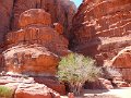 Wadi Rum (57)